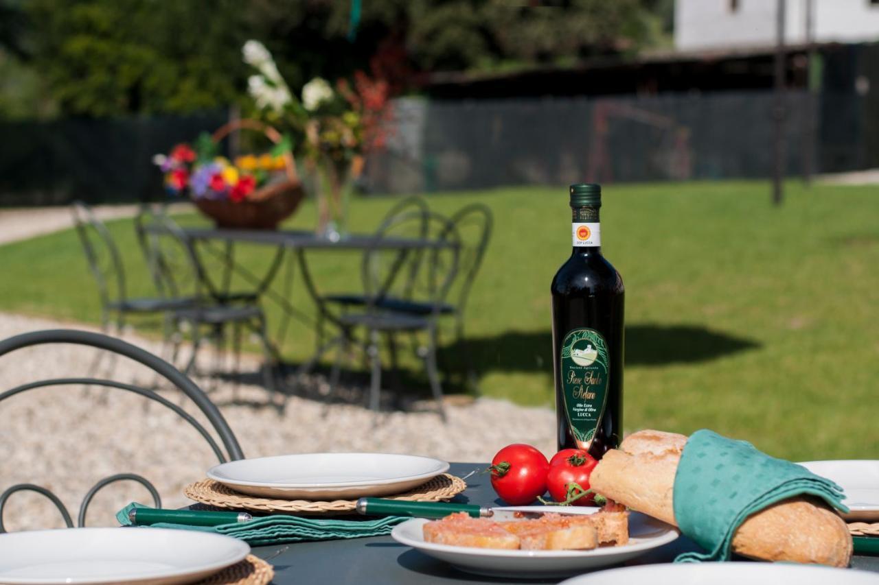 Agriturismo Villa Sardini Lucca Esterno foto