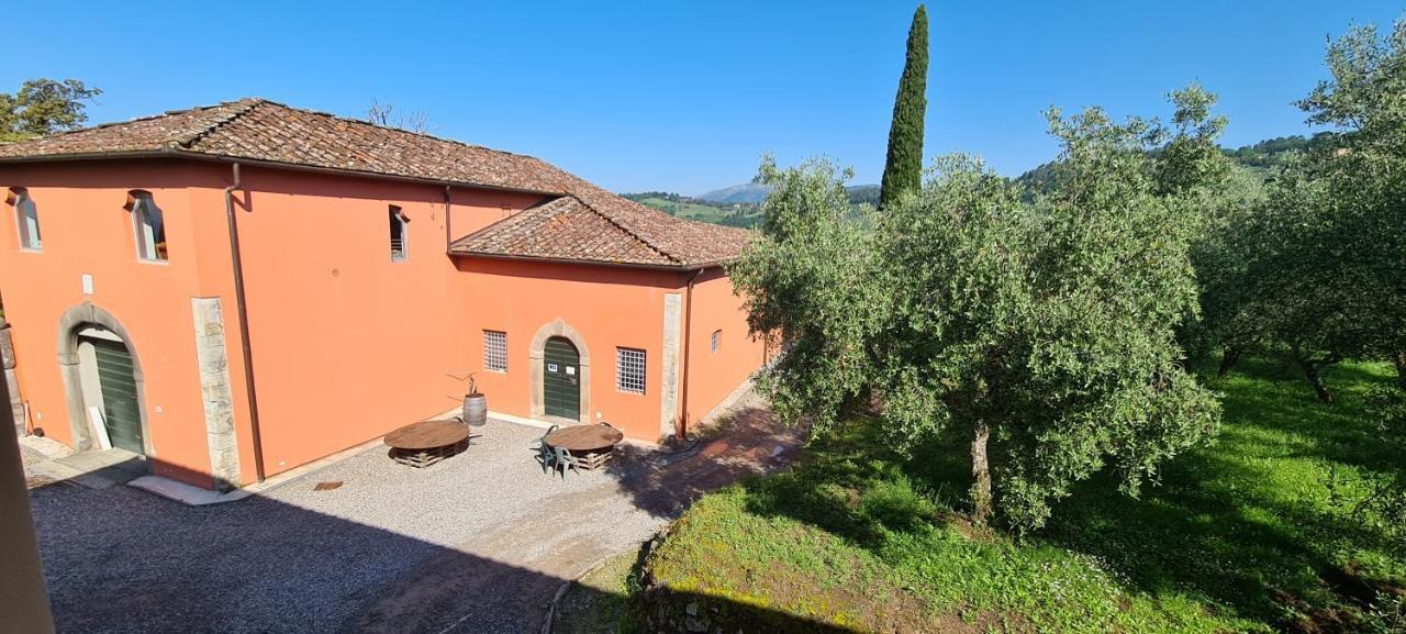 Agriturismo Villa Sardini Lucca Esterno foto