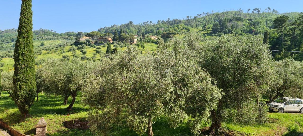 Agriturismo Villa Sardini Lucca Esterno foto