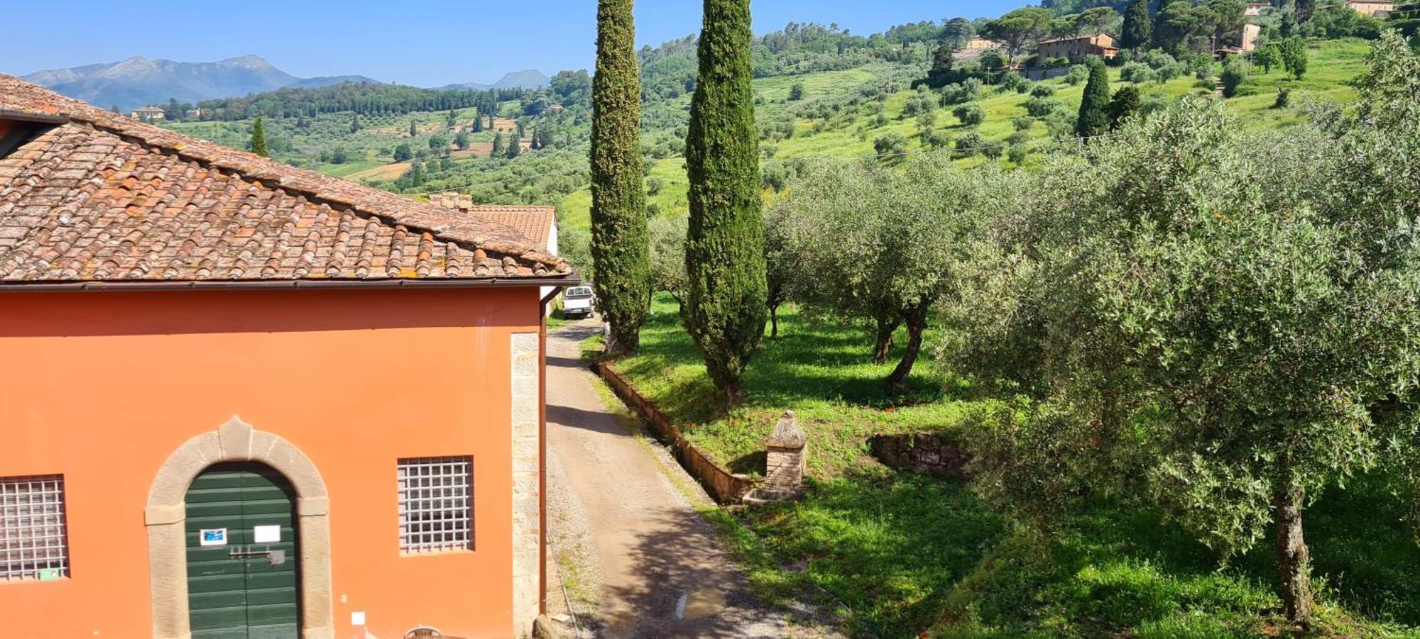 Agriturismo Villa Sardini Lucca Esterno foto